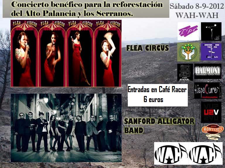 cartel concierto solidario reforestacion serranos, alto palancia